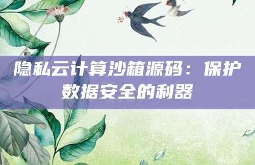 隐私云计算沙箱源码：保护数据安全的利器