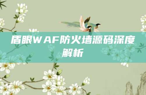 盾眼WAF防火墙源码深度解析