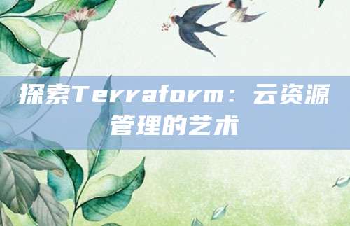 探索Terraform：云资源管理的艺术